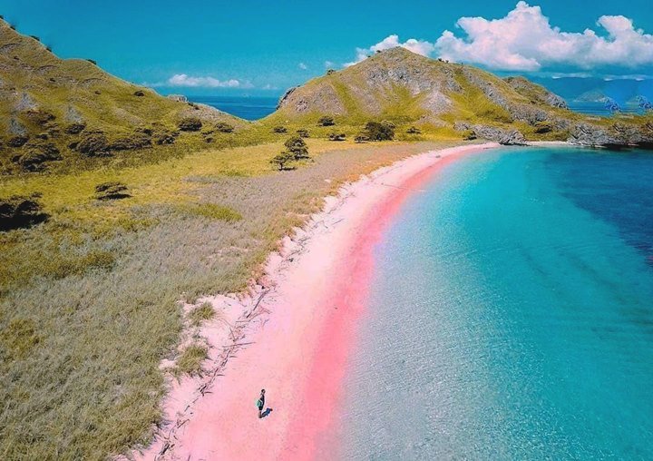 Pantai Pink Lombok 2