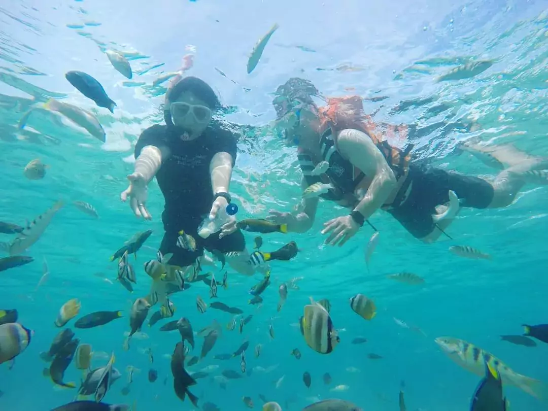 gili petelu